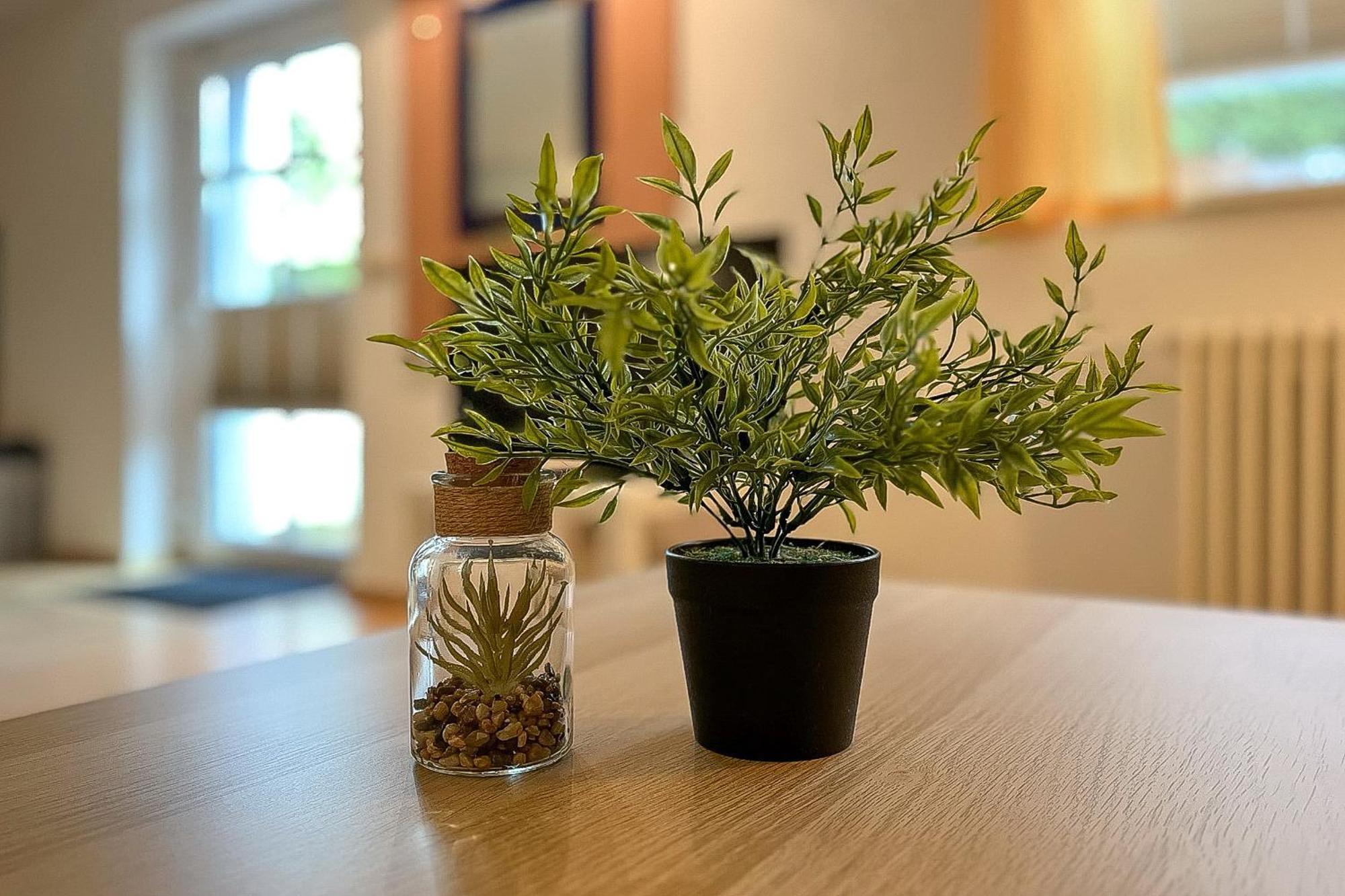 בולטנהאגן Villa Triton Souterrain Wohnung 07 מראה חיצוני תמונה
